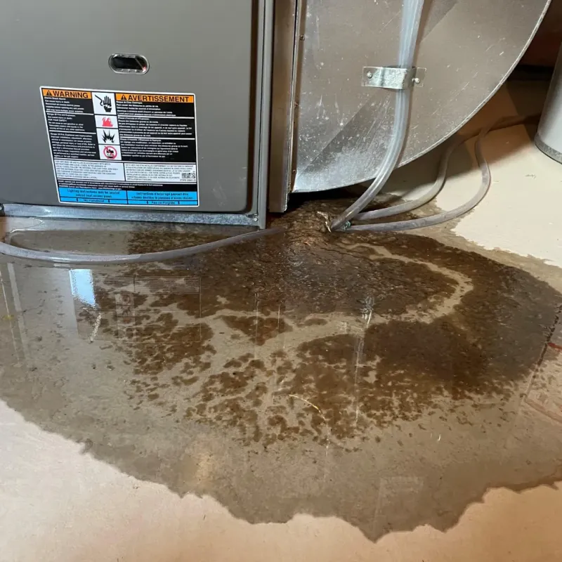 Appliance Leak Cleanup in Selma, TX